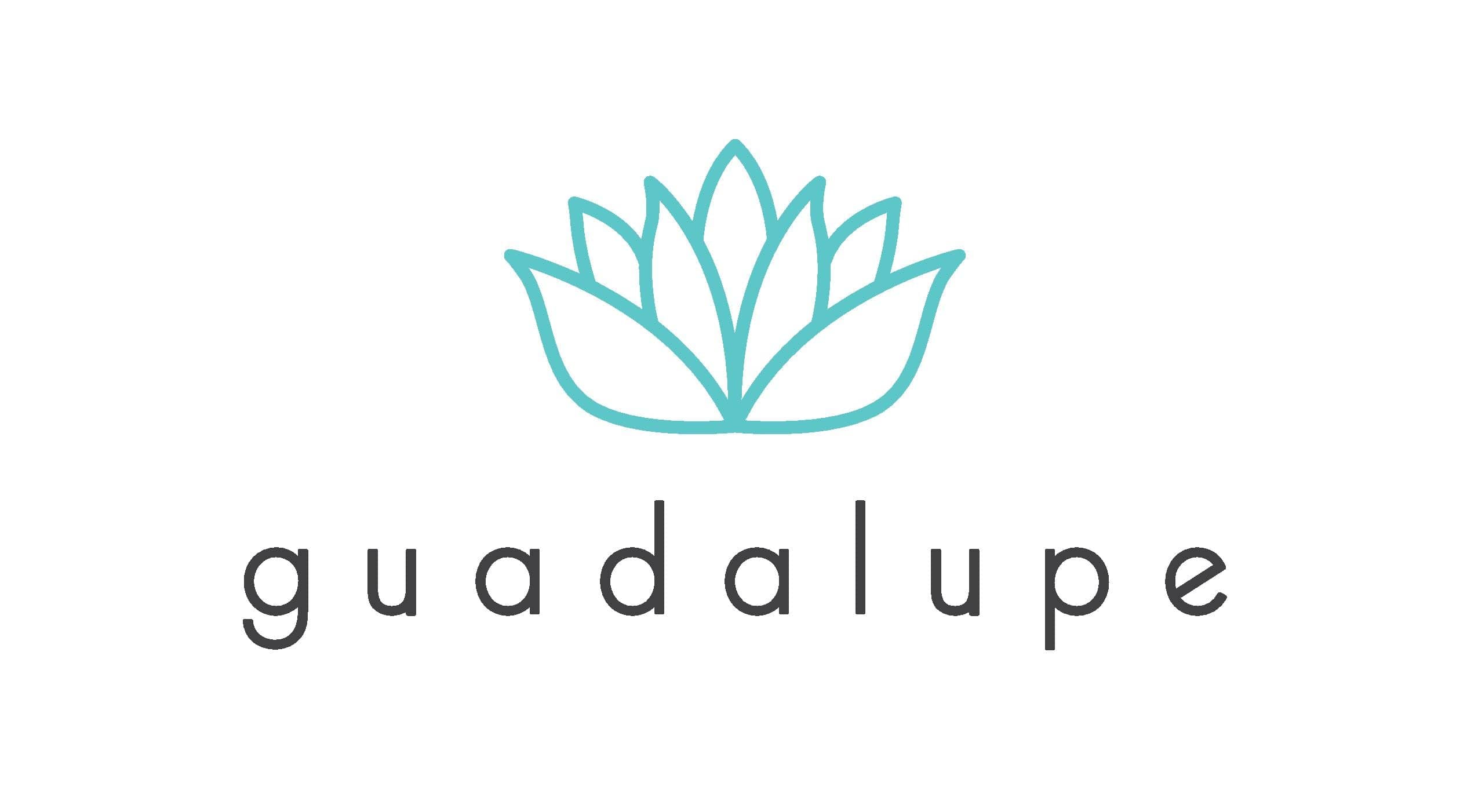 GD_nuevologo_2019-page-001_60a6e1fc-e3d6-42e0-b64e-eb2e966b9206.jpg