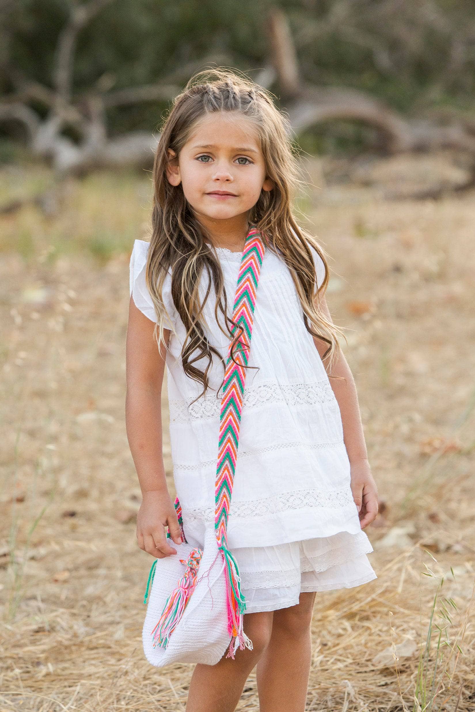 Nala Embroidered Dress